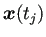 $ \bm{x}(t_j)$