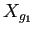$ X_{g_1}$