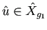 $ \hat u\in \hat X_{g_1}$
