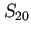 $ S_{20}$