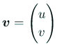 $\displaystyle \bm{v}=\begin{pmatrix}
u  v
\end{pmatrix}$