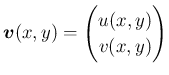 $\displaystyle \bm{v}(x,y)=\begin{pmatrix}
u(x,y)  v(x,y)
\end{pmatrix}$