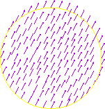 \includegraphics[width=5cm]{vectorfield.eps}
