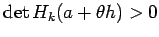 $ \det H_k(a+\theta h)>0$